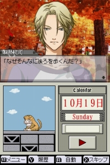 ꡼ No.021 | ǥ꡼ѥ֥å㡼鲵SIGNALʲˡפ2009ǯȯ