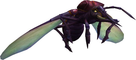 ꡼ No.003 | SEVENCOREפθFacebookڡ享դˤȥޥȡɤξܺ٤