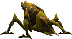 ꡼ No.005 | SEVENCOREפθFacebookڡ享դˤȥޥȡɤξܺ٤