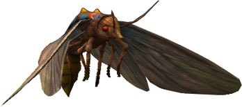 ꡼ No.007 | SEVENCOREפθFacebookڡ享դˤȥޥȡɤξܺ٤