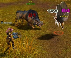 ꡼ No.045 | ϡȥۥСեȡġĤƥɥ饴󡪡ޤޤưʪᥫ˾饤ǥ󥰥MMORPGSEVENCOREԥץ쥤ݡ