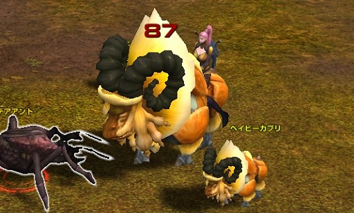 ꡼ No.047 | ϡȥۥСեȡġĤƥɥ饴󡪡ޤޤưʪᥫ˾饤ǥ󥰥MMORPGSEVENCOREԥץ쥤ݡ