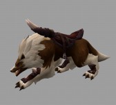 ꡼ No.006 | SEVENCORECBTΥ٥ȡڡԾ󤬸