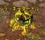 ꡼ No.004Υͥ / SEVENCOREץץ¥ƥȰʹߤ˼뿷ƥξ󤬸