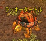 ꡼ No.005Υͥ / SEVENCOREץץ¥ƥȰʹߤ˼뿷ƥξ󤬸