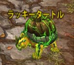 ꡼ No.006Υͥ / SEVENCOREץץ¥ƥȰʹߤ˼뿷ƥξ󤬸