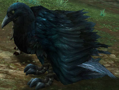 ꡼ No.006 | SEVENCOREĮϥͤˡʤо