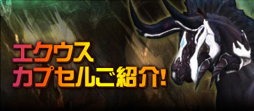 ꡼ No.008Υͥ / SEVENCOREĮϥͤˡʤо