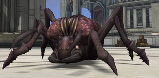 ꡼ No.003Υͥ / SEVENCOREפǡ֥ȡפʤɤΥΡޥޥȤ1館륭ڡ