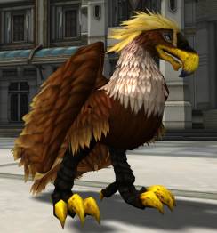 ꡼ No.004Υͥ / SEVENCOREפǡ֥ȡפʤɤΥΡޥޥȤ1館륭ڡ