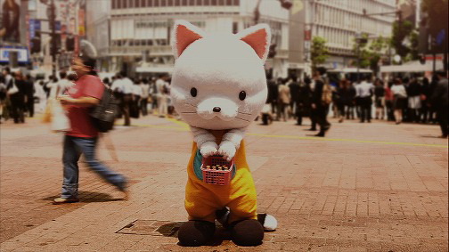 ꡼ No.006 | äƤ ȡ428 줿ëǡפ᤹ӥ塼Ǻ