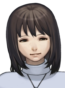 ꡼ No.010 | ȯɤȤǽܳʿADVֱʻҤδ PORTABLE ¡ǽμפPSPǤ917ȯ