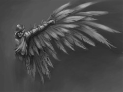 ꡼ No.013 | Wii֥˥åȡ׿Ϥڤơȥɤõ