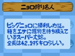 ���������꡼ No.013�Υ���ͥ������ / DSi�������֤��������������ϥॹ�����ס����������Ȥ���������