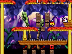 ���������꡼ No.039�Υ���ͥ������ / ������ã��Ƴ������DSi�������֥��������ѥ��� ��ӡߥ�ӡ��ۿ�