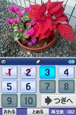 ���������꡼ No.001�Υ���ͥ������ / �Ȳ��������ɡɤ�˥�ƥ�ɡ�DSi�Ǻ����Ǥ���֤��֤�ǤĤ��� �˥�ƥ�ɡ�DS �����ɡפ�̵�����ۿ���