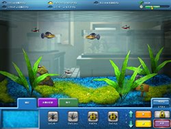 ꡼ No.018 | Web140ȥ뤬ͷ٤֤ڥɡץӥ