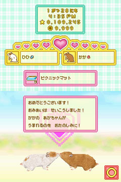 ꡼ No.002Υͥ / ٤֤Ƥ롪οǤɲäNDS֥ϥॹ餽פ³Ԥ2009ǯȯ