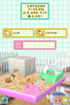 ꡼ No.003Υͥ / ٤֤Ƥ롪οǤɲäNDS֥ϥॹ餽פ³Ԥ2009ǯȯ