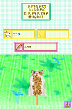 ꡼ No.008Υͥ / ٤֤Ƥ롪οǤɲäNDS֥ϥॹ餽פ³Ԥ2009ǯȯ