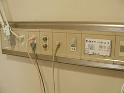 ꡼ No.003 | ʡۼŦмѤƼ餬Хϥˤʤä