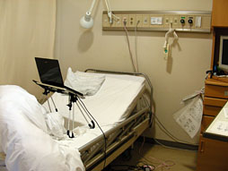 ꡼ No.005 | ʡۼŦмѤƼ餬Хϥˤʤä