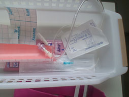 ꡼ No.015 | ʡۼŦмѤƼ餬Хϥˤʤä