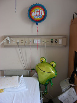 ꡼ No.017 | ʡۼŦмѤƼ餬Хϥˤʤä