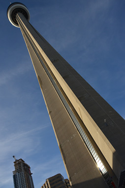 ꡼ No.002 | ʡۥȥƥȥ졼2ĤΥॸˤֻ볦פꥢθƤ