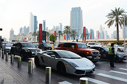 ꡼ No.007Υͥ / ʡۤϥꥢ롦ġꥹγ ɥХΥȥե顼ơޥѡå