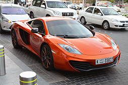 ꡼ No.008Υͥ / ʡۤϥꥢ롦ġꥹγ ɥХΥȥե顼ơޥѡå