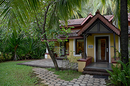 画像ギャラリー No.005のサムネイル画像 / 【西川善司】AMDイベントで初上陸。インド・ゴア州はまるで「CryENGINE」の世界だった?