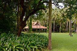 画像ギャラリー No.006のサムネイル画像 / 【西川善司】AMDイベントで初上陸。インド・ゴア州はまるで「CryENGINE」の世界だった?