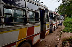 画像ギャラリー No.011のサムネイル画像 / 【西川善司】AMDイベントで初上陸。インド・ゴア州はまるで「CryENGINE」の世界だった?