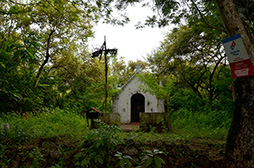 画像ギャラリー No.013のサムネイル画像 / 【西川善司】AMDイベントで初上陸。インド・ゴア州はまるで「CryENGINE」の世界だった?