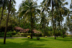 画像ギャラリー No.018のサムネイル画像 / 【西川善司】AMDイベントで初上陸。インド・ゴア州はまるで「CryENGINE」の世界だった?