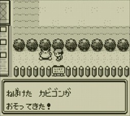 ꡼ No.007Υͥ / ڥҥۥ˥ƥɡ2DSǡ֥ݥåȥ󥹥 ֡Сס