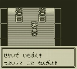 ꡼ No.009Υͥ / ڥҥۥ˥ƥɡ2DSǡ֥ݥåȥ󥹥 ֡Сס