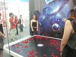 画像ギャラリー No.012のサムネイル画像 / 紹介しきれなかった小ネタから著作権問題まで:ChinaJoy拾遺物語