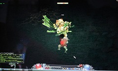 ꡼ No.011Υͥ / CJ 09Ũ4ϡ֤ȤϢȤפʿ2DMMORPGͺ IIפȤ