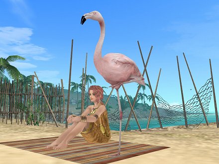 ꡼ No.005 | ҳ Online El Orienteפ68˼»ܤ륢åץǡȡStar FestivalפǤϡͼˤʤ٥Ȥ