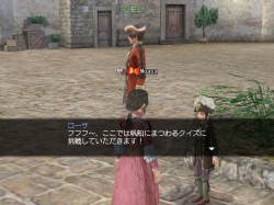 ꡼ No.005 | ҳס2010 ĹޤĤɤǤⳫ