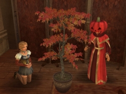 ꡼ No.008 | ҳ OnlineסȾڷɤǻ䤷󽷤餪