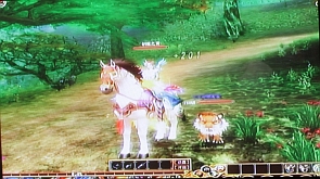 ꡼ No.011 | CJ 09BigWorld󥸥ѤMMORPGOnlineפ褦䤯OBTϡץ쥤Ǥ149ࡩ