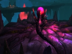 ꡼ No.006 | Magic World Beginsץ󥹥󥹥󥸥ܥ󥹥ǧǤ롤ǥץ⡼ࡼӡ4GamerUp