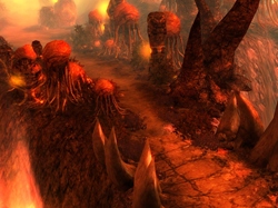 ꡼ No.008 | Magic World Beginsץ󥹥󥹥󥸥ܥ󥹥ǧǤ롤ǥץ⡼ࡼӡ4GamerUp