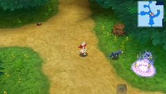 ꡼ No.003 | ֥ե륹׸Ȥǥॷƥξ