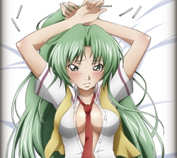 ꡼ No.004Υͥ / ɤǲưΤҤ餷֤Ҥ餷ӭ PSPǤ1112ȯ