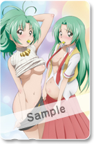 ꡼ No.007Υͥ / ƥ쥫⤢ꡣ֤Ҥ餷ӭ פŹͽŵ