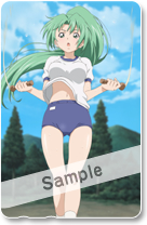 ꡼ No.008Υͥ / ƥ쥫⤢ꡣ֤Ҥ餷ӭ פŹͽŵ